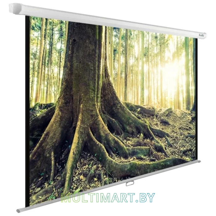 Проекционный экран CACTUS WallExpert 220x220 (CS-PSWE-220x220-WT)
